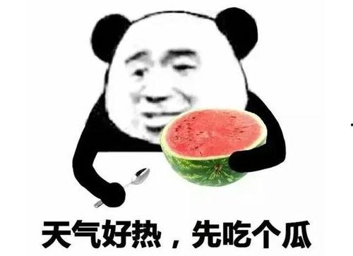 吃瓜表情包回复怎么说好听,幽默风趣的社交新宠