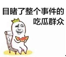 吃瓜群众在七零 穿书,吃瓜群众穿书记